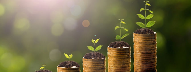 Money Strategy